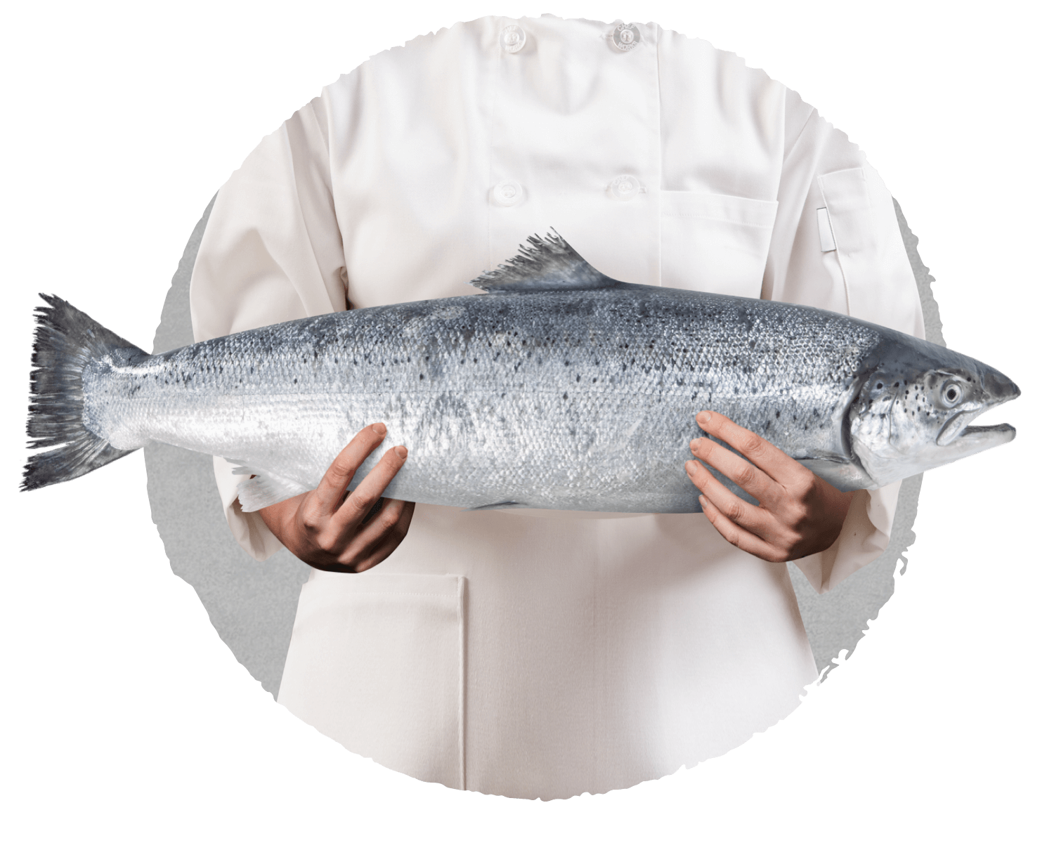 Nhà Hàng Sushi Uraetei Phú Mỹ Hưng 대표 사진